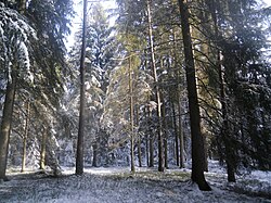 Winterlandschaft Pfalzen