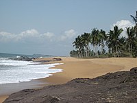 Beach with palms Ghana.jpg