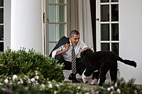 President Barack Obama pets Bo, the Obama family dog, after returning to the White House from an event at Prince George's Community College in Largo, Md., March 15, 2012.jpg