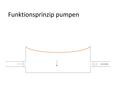 Funktionsprinzip Pumpen.pdf